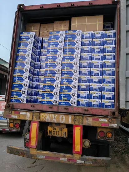 6300-6301-6302-6304-Groove-Ball-Bearing-Zz-2RS-NSK-NTN-NACHI-Koyo