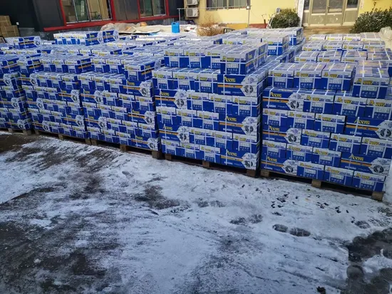 Auto-Parts-Bearing-Factory-Motorcycle-Spare-Part-NTN-NSK-NACHI-Koyo-6006-6007-6008-6009-6010