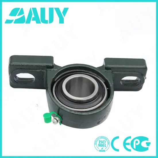 Auy-Casting-Machinery-Anti-Corrosion-P2bl-115-TF-Ah-115-TF-Ah-Sy-1-1-2-Tr-P2bt-115-Wf-115-Wf-Pillow-Block-Ball-Bearing-Unit-Pillow-Block-Bearing