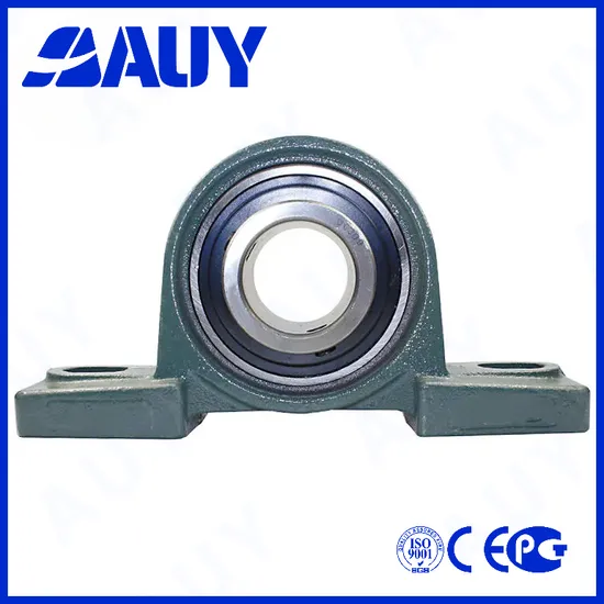 Auy-Casting-Machinery-Factory-Price-P2bc-104-Tpzm-104-Tpzm-P2bl-012-TF-012-TF-P2bl-012-Wf-012-Wf-Mounted-Bearing-Pillow-Block-Bearing