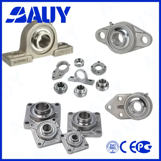 Auy-Customized-High-Precision-P2bl-111-TF-Ah-111-TF-Ah-P2b-014-RM-014-RM-P2b-55m-TF-55m-TF-Short-Base-Pillow-Block-Housings-Pillow-Block-Bearing