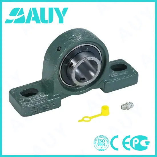 Auy-Customized-High-Quality-P2bc-50m-Cpss-Dfh-50m-Cpss-Dfh-Sy-25-TF-Sy-25-Tr-Cast-Iron-Housings-Pillow-Block-Bearing