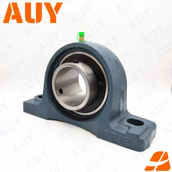 Auy-Customized-High-Speed-P2bss-40m-Cpss-Dfh-40m-Cpss-Dfh-P-20-FM-P-20-TF-Ukp-Pillow-Block-Bearing