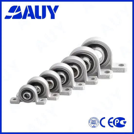 Auy-Customized-Mining-Industry-P2btss-106-Cpss-Dfh-106-Cpss-Dfh-Ucpx07-P-25-TF-Pillow-Block-Bearing