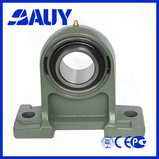 Auy-Durable-High-Speed-P2bss-35m-Cpss-Dfh-35m-Cpss-Dfh-Sy-20-Wf-Sy-55-TF-Stainless-Housing-Pillow-Block-Bearing
