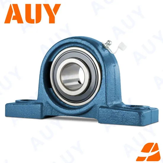 Auy-Durable-High-Speed-P2btc-50m-Tpzm-50m-Tpzm-P2bl-010-FM-010-FM-P2bl-010-RM-010-RM-Y-Bearings-Pillow-Block-Bearing
