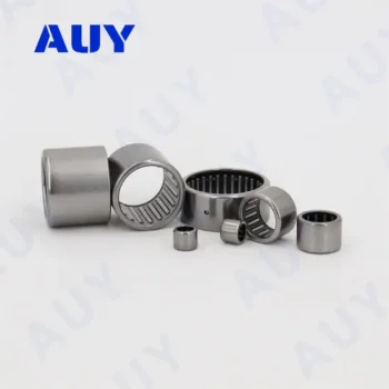 High-Precision NKI 22/16 Needle Roller Bearing for Auy
