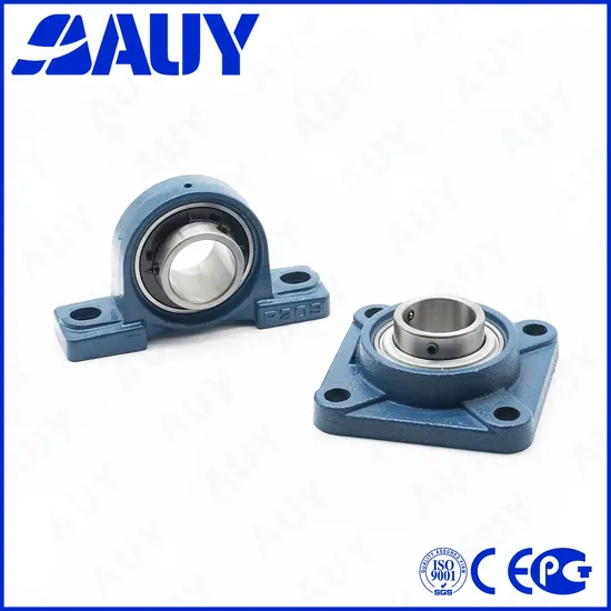 Auy-Existing-Goods-Hot-Sale-P2bc-20m-Tpzm-20m-Tpzm-P2bl-112-Wf-112-Wf-P2bt-105-Wf-105-Wf-Stainless-Housings-Pillow-Block-Bearing