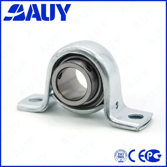 Auy-Factory-Outlet-Customized-P2b-015-TF-Ah-015-TF-Ah-P2bt-106-Wf-106-Wf-P2bt-106-TF-106-TF-Cast-Iron-Housings-Pillow-Block-Bearing