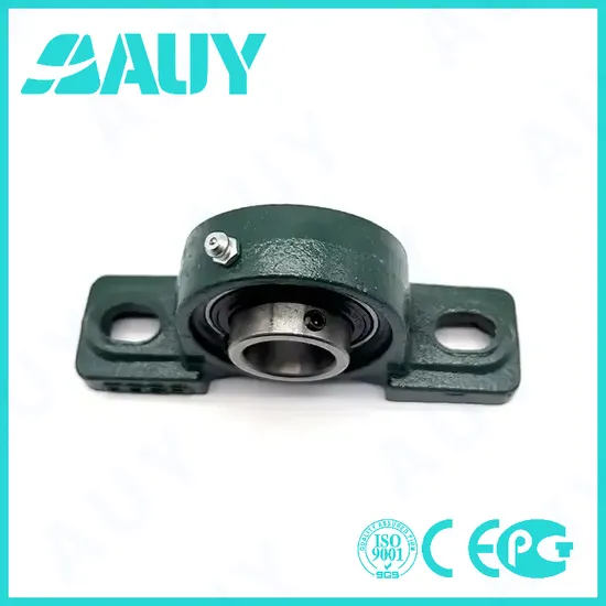 Auy-Factory-Outlet-Customized-P2b-015-TF-Ah-015-TF-Ah-P2bt-106-Wf-106-Wf-P2bt-106-TF-106-TF-Cast-Iron-Housings-Pillow-Block-Bearing