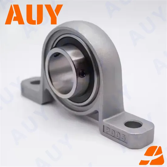 Auy Factory Outlet P2BSS 100-TPSS UCP205-16 Pillow Block Bearing