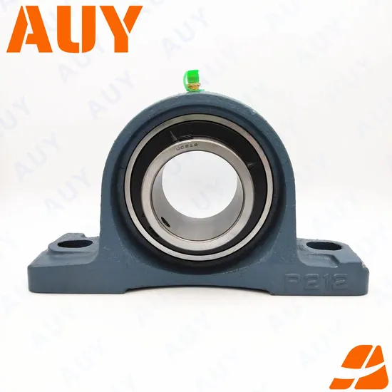 Auy-Factory-Outlet-Mining-Industry-P2bc-100-Tpzm-100-Tpzm-P2bt-015-Wf-015-Wf-P2bt-015-TF-015-TF-Pillow-Block-Bearing