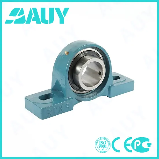 Auy Factory OEM P2B 108-LF-AH Pillow Block Bearing High Precision