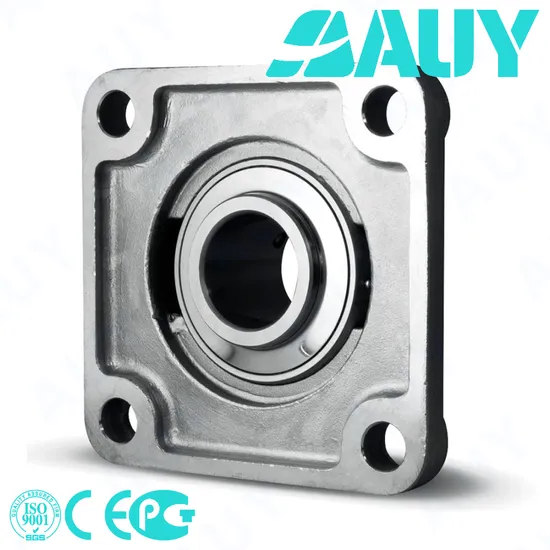 Auy Factory Price F4BSS 20M-CPSS-DFH UCXF13/06 Housing Units High Performance
