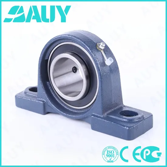 Auy-High-Precision-Casting-Machinery-P2bc-20m-Cpss-Dfh-20m-Cpss-Dfh-Sy-45-TF-Sy-25-Wf-Housing-Unit-Pillow-Block-Bearing