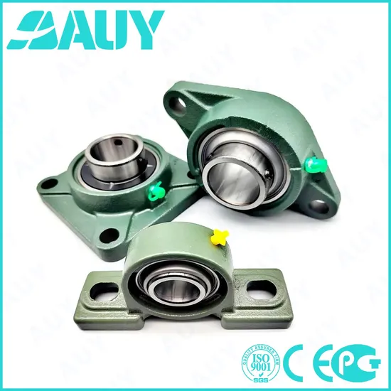 Auy-High-Precision-Casting-Machinery-P2bc-20m-Cpss-Dfh-20m-Cpss-Dfh-Sy-45-TF-Sy-25-Wf-Housing-Unit-Pillow-Block-Bearing
