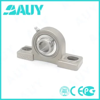 Auy P2bc 20m-Cpss-Dfh High-Precision Pillow Block Bearing