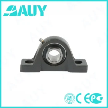Auy P2BL 112-TF-AH High-Precision Pillow Block Bearing