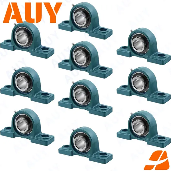 Auy-High-Precision-Mixing-Machinery-P2bc-106-Tpzm-106-Tpzm-P2bt-100-TF-100-TF-P2bt-100-FM-100-FM-Bearing-Housing-Pillow-Block-Bearing