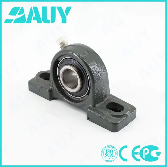 Auy-High-Precision-Mixing-Machinery-P2bc-106-Tpzm-106-Tpzm-P2bt-100-TF-100-TF-P2bt-100-FM-100-FM-Bearing-Housing-Pillow-Block-Bearing
