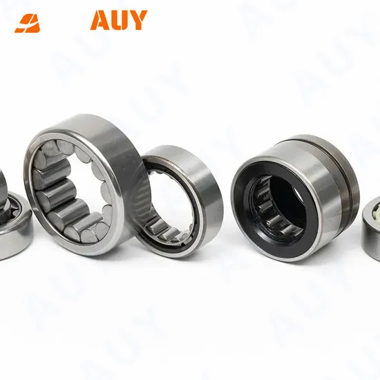 Auy K 25X29X10 Needle Roller Bearing High Speed Mining
