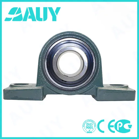 Auy-High-Strength-Customized-P2bc-107-Tpzm-107-Tpzm-P2bl-014-FM-014-FM-P2bl-200-FM-200-FM-Bearing-Housing-Pillow-Block-Bearing