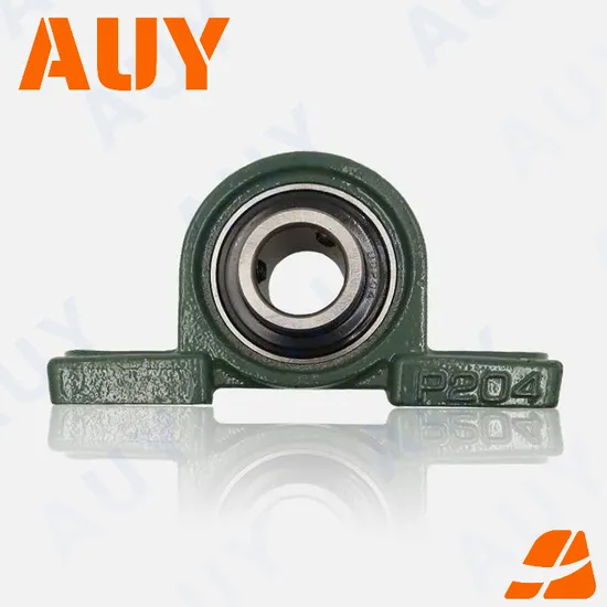Auy-High-Strength-Customized-P2bc-107-Tpzm-107-Tpzm-P2bl-014-FM-014-FM-P2bl-200-FM-200-FM-Bearing-Housing-Pillow-Block-Bearing