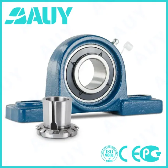 Auy-High-Strength-High-Satisfaction-P2bss-25m-Tpss-25m-Tpss-P2b-17m-TF-17m-TF-P2b-207-Wf-207-Wf-Y-Bearing-Pillow-Block-Bearing
