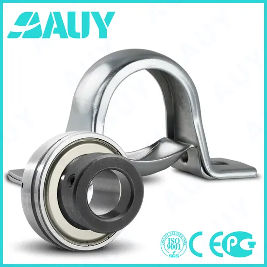 Auy-Hot-Sale-High-Quality-Syfwk-20-Lthr-P2bl-111-TF-111-TF-P2bl-102-Wf-102-Wf-Housing-Unit-Pillow-Block-Bearing