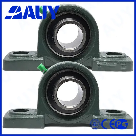 Auy-Hot-Sale-Industry-Leading-P2bl-106-TF-Ah-106-TF-Ah-P2b-55m-FM-55m-FM-UCP-211-32-211-32-Housing-Units-Set-Pillow-Block-Bearing