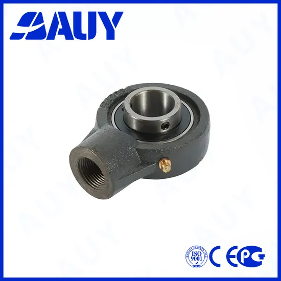 Auy-Hot-Sale-ODM-P2btss-25m-Tpss-25m-Tpss-Syf-45-FM-Syj-75-TF-Miniature-Housing-Pillow-Block-Bearing