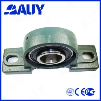 Auy Hot Sale P2BTSS-25M TPS-SYF45FM Mini Pillow Block Bearing 25mm
