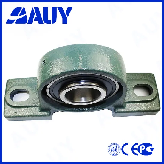 Auy Hot Sale P2BTSS-25M TPS-SYF45FM Mini Pillow Block Bearing 25mm