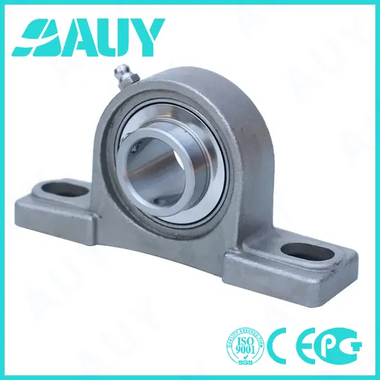 Auy-Manufacturing-Machinery-High-Quality-P2bl-014-TF-Ah-014-TF-Ah-P2bl-108-RM-108-RM-P2bl-108-Wf-108-Wf-Cast-Iron-Housing-Pillow-Block-Bearing