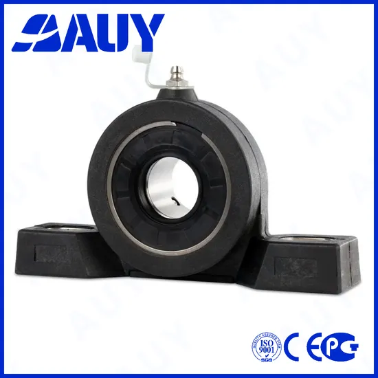 Auy-Mining-Industry-High-Quality-P2btss-30m-Tpss-30m-Tpss-Syf-20-TF-Sy-50-Wdw-Pillow-Block-Ball-Bearing-Units-Pillow-Block-Bearing