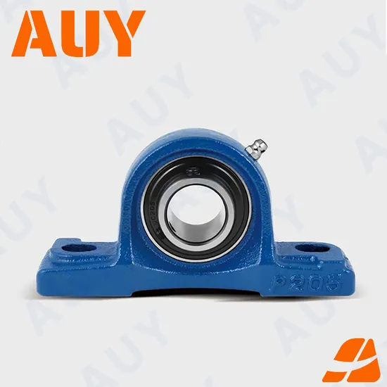 Auy-Mining-Industry-Spot-Supply-P2bl-107-Wf-Ah-107-Wf-Ah-P2bt-107-TF-107-TF-Sy-1-5-8-TF-Pillow-Block-Housings-Pillow-Block-Bearing
