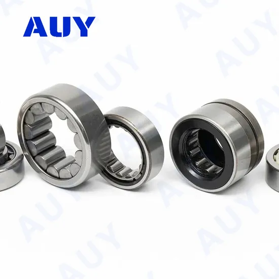 Auy-Mining-Machinery-Factory-Price-Rpna-25-42-Pna-40-62-Nki-80-35-Needle-Roller-Bearing