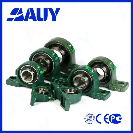 Auy-Mixing-Machinery-Factory-Outlet-P2btc-20m-Tpss-20m-Tpss-Sywk-40-Yta-Sywk-40-Yth-Housing-Bearing-Pillow-Block-Bearing
