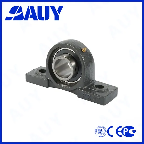 Auy-Mixing-Machinery-Manufacturing-Machinery-P2btc-104s-Cpss-Dfh-104s-Cpss-Dfh-UCP-305-UCP-205-Housing-Units-Sets-Pillow-Block-Bearing