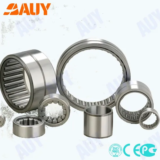 Auy-Mixing-Machinery-Mining-Industry-5913-Nkia-Nkib-Nkx-12-Z-Nkx-70-Z-Needle-Roller-Bearing