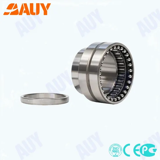 5913 NKIA Needle Roller Bearing for Mining Machinery