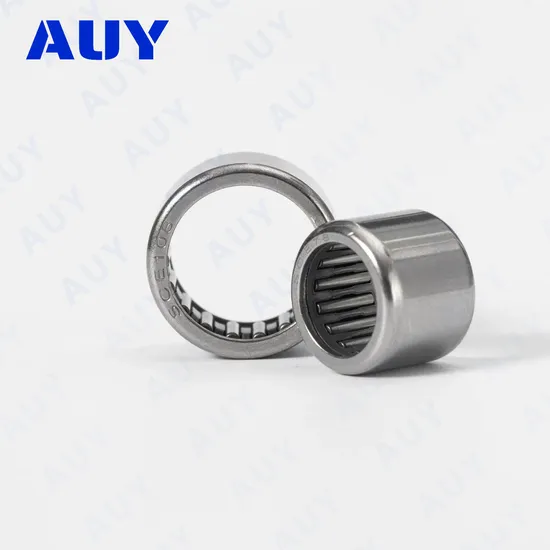 Auy HK 2216.2RS Needle Bearing 4910 4834 High Load Capacity