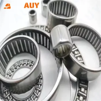 Auy ODM K 20X28X25 NKI 100/30 100/40 Needle Roller Bearing