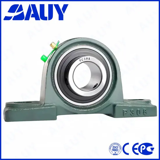 Auy-ODM-Inexpensive-P2bss-20m-Cpss-Dfh-20m-Cpss-Dfh-UCP-218-UCP-318-Short-Base-Pillow-Block-Housing-Pillow-Block-Bearing