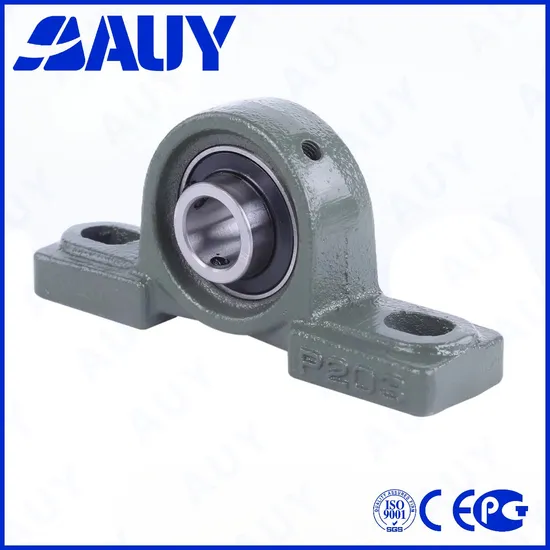 Auy-ODM-Inexpensive-P2bss-20m-Cpss-Dfh-20m-Cpss-Dfh-UCP-218-UCP-318-Short-Base-Pillow-Block-Housing-Pillow-Block-Bearing