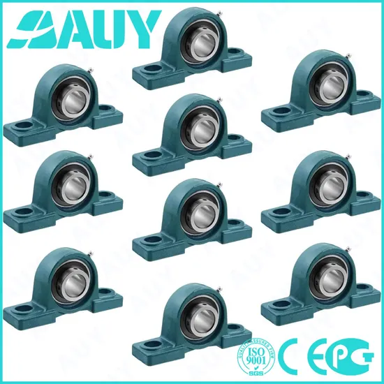 Auy P2BSS 20M-CPSS-DFH UCP218 Bearing High Load Capacity