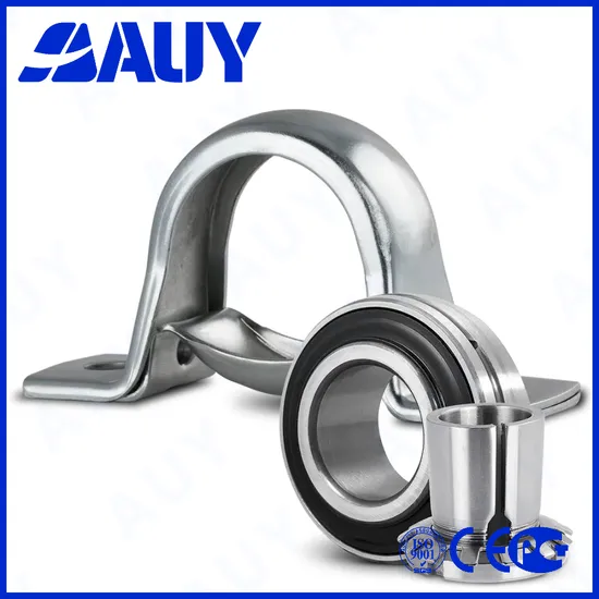 Auy P2bc 108-Cpss-Dfh Pillow Block Bearing P2BC, High Precision