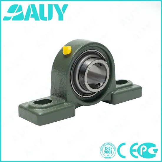 Auy 3/4 LTHR P2BL 107-FM Pillow Block Bearing High Load Capacity