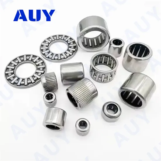 Auy-ODM-Rust-Prevention-HK-4020-2RS-Rna-6906-Nk-24-16-Needle-Roller-Bearing