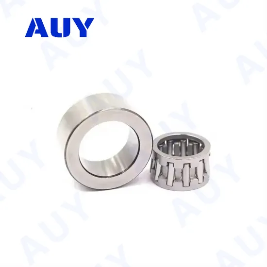 Auy-ODM-Rust-Prevention-HK-4020-2RS-Rna-6906-Nk-24-16-Needle-Roller-Bearing